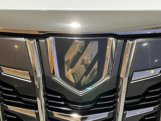 トヨタ アルファード 2.5 S タイプゴールドの中古車