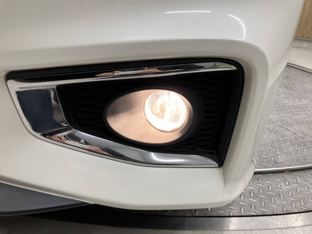 日産 エルグランド 2.5 250ハイウェイスターSの中古車