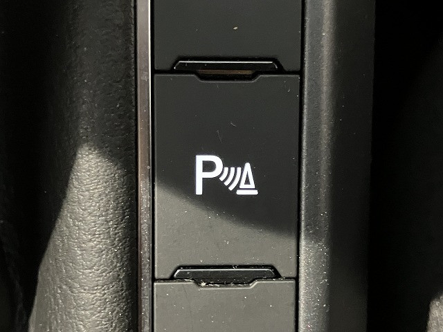フォルクスワーゲン ポロ TSI Rラインの中古車