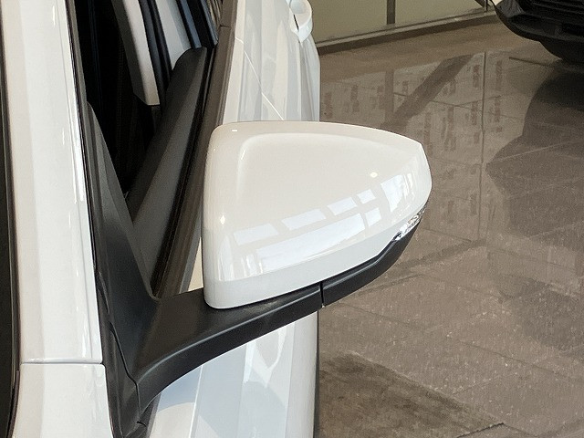 フォルクスワーゲン ポロ TSI Rラインの中古車