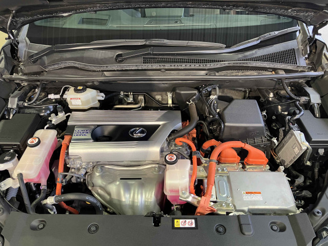 レクサス NX 300h スパイス&シックの中古車