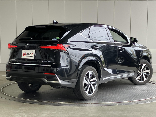 レクサス NX 300h スパイス&シックの中古車