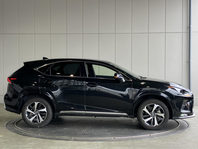 レクサス NX 300h スパイス&シックの中古車