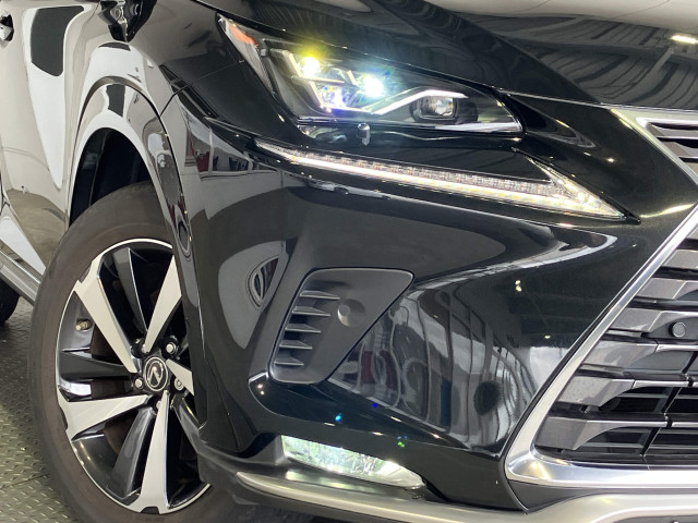 レクサス NX 300h スパイス&シックの中古車