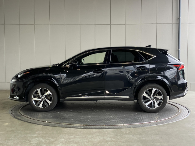 レクサス NX 300h スパイス&シックの中古車
