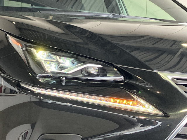 レクサス NX 300h スパイス&シックの中古車