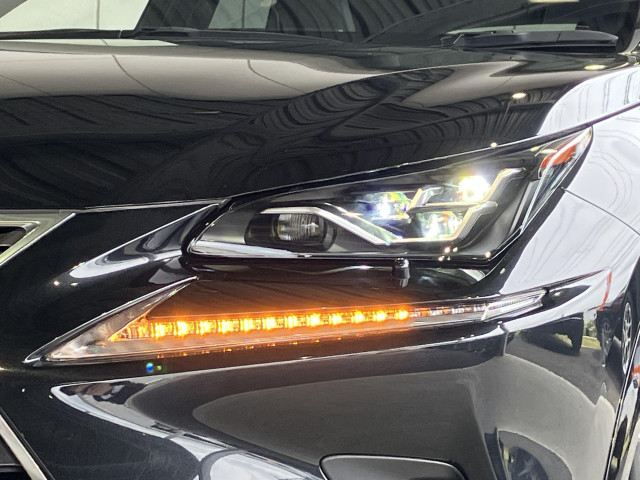 レクサス NX 300h スパイス&シックの中古車