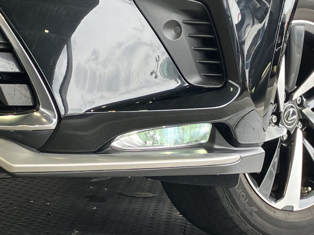 レクサス NX 300h スパイス&シックの中古車