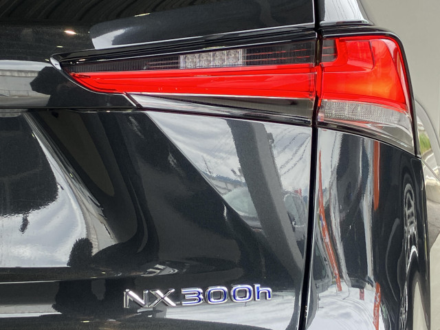 レクサス NX 300h スパイス&シックの中古車