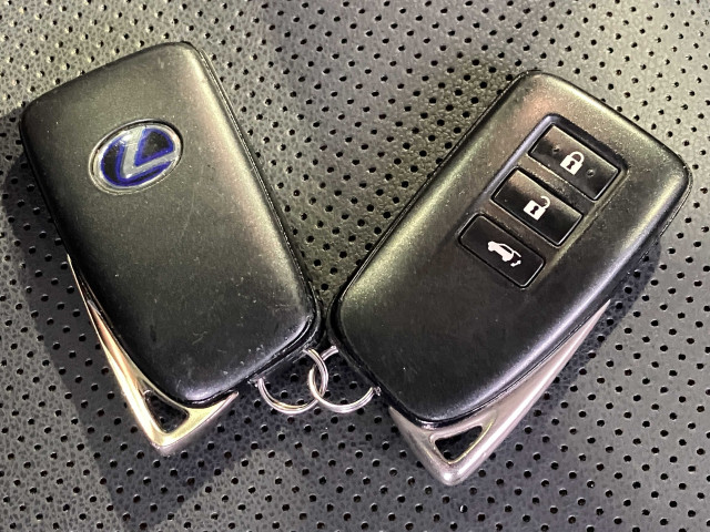 レクサス NX 300h スパイス&シックの中古車