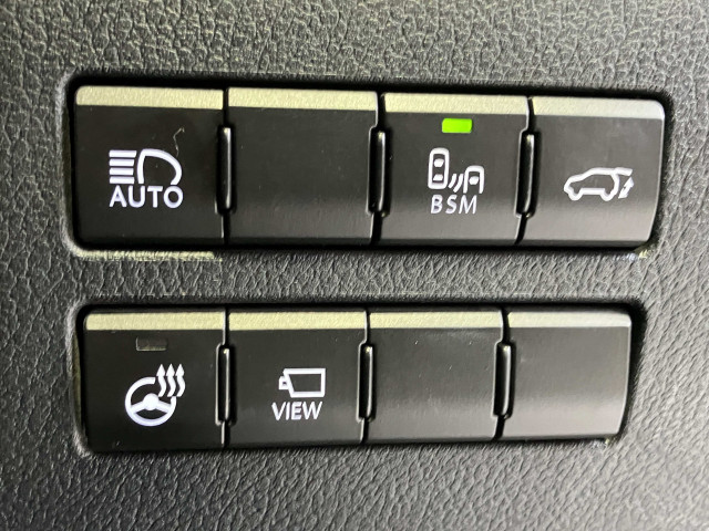 レクサス NX 300h スパイス&シックの中古車