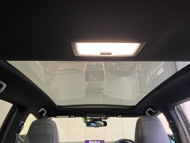 レクサス NX 300h スパイス&シックの中古車