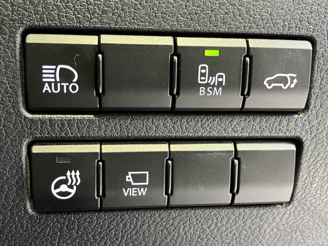 レクサス NX 300h スパイス&シックの中古車