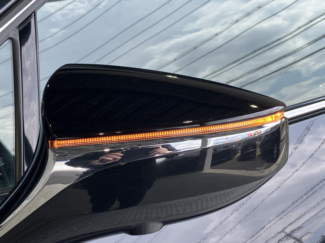 レクサス UX 250h Fスポーツ スタイル ブルーの中古車