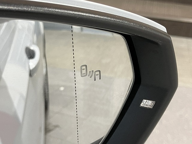フォルクスワーゲン ポロ TSI ハイラインの中古車