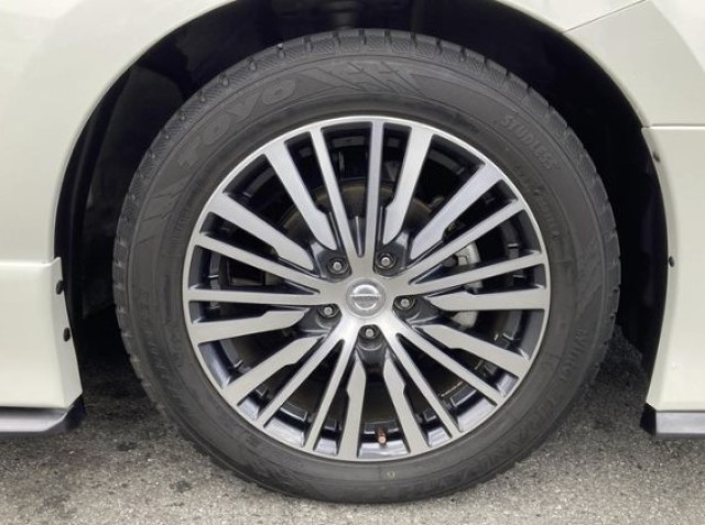 日産 エルグランド 2.5 250ハイウェイスターSの中古車