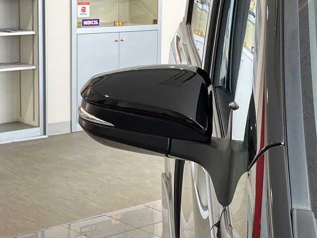 トヨタ ノア 2.0 Si WxBの中古車