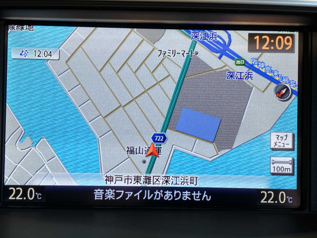 日産 シーマ 3.5 VIP Gの中古車