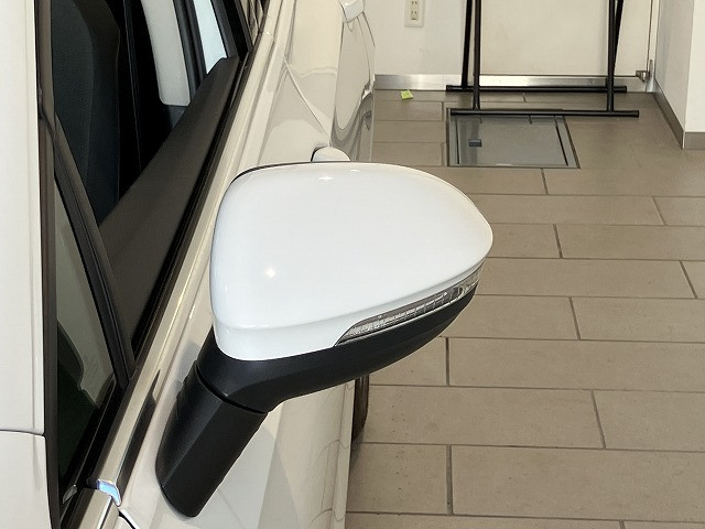 フォルクスワーゲン ゴルフヴァリアント TDI アクティブ アドバンス プラチナム エディション ディーゼルターボの中古車