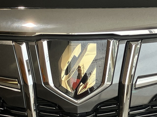 トヨタ アルファード 2.5 S タイプゴールドⅢの中古車