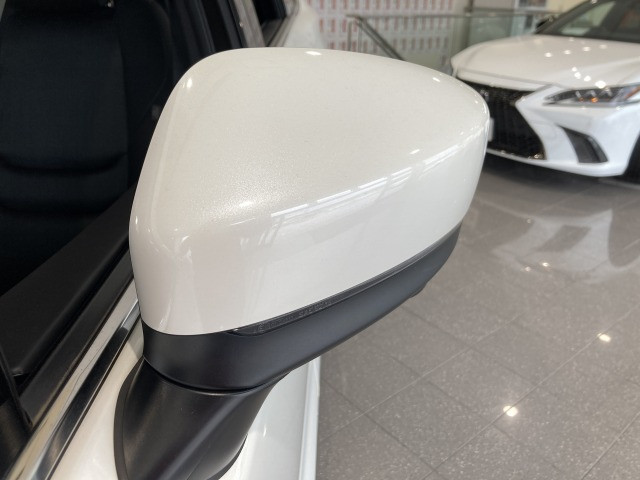 マツダ CXー8 2.2 XD プロアクティブ Sパッケージ ディーゼルターボの中古車