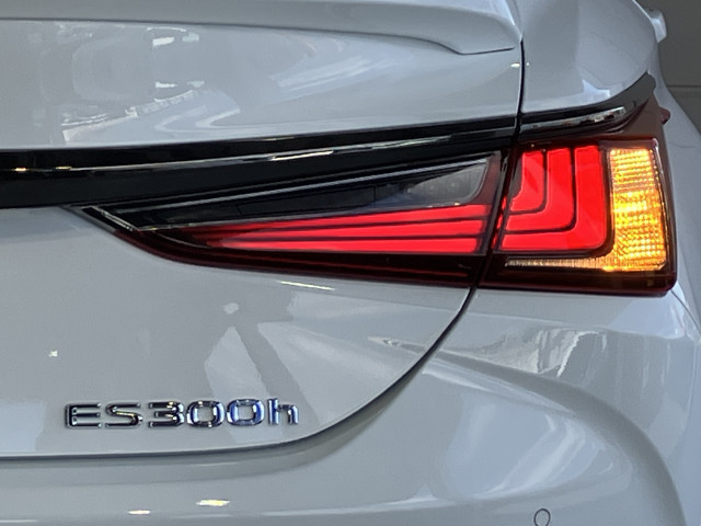 レクサス ES 300h Fスポーツの中古車