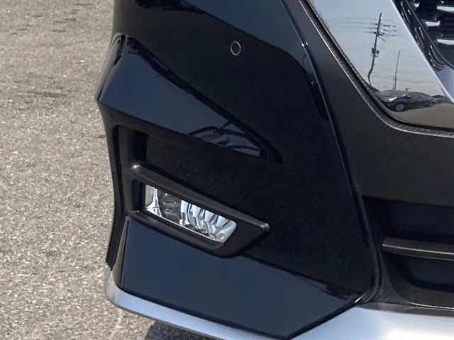 日産 セレナ 2.0 AUTECH スポーツスペックの中古車