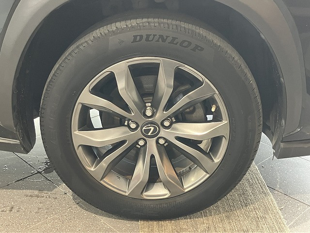 レクサス NX 300 Fスポーツの中古車