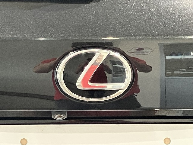 レクサス NX 300 Fスポーツの中古車