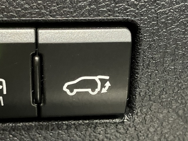 レクサス NX 300 Fスポーツの中古車