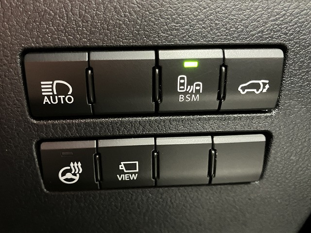 レクサス NX 300 Fスポーツの中古車