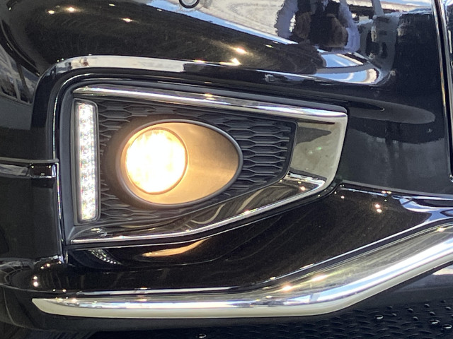 日産 エルグランド 2.5 250ハイウェイスターS アーバンクロムの中古車