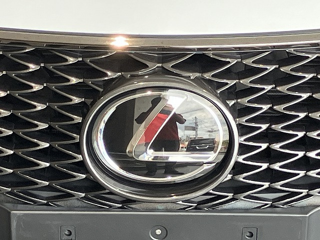 レクサス IS 300 ブラック シークエンスの中古車