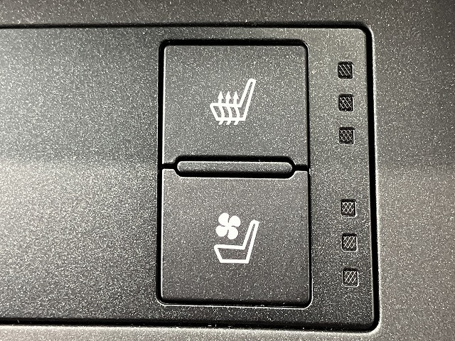 レクサス IS 300 ブラック シークエンスの中古車