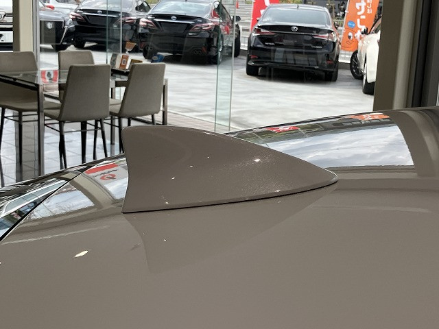 レクサス IS 300 ブラック シークエンスの中古車