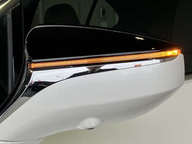 レクサス UX 250h グレイスフル エクスプローラーの中古車