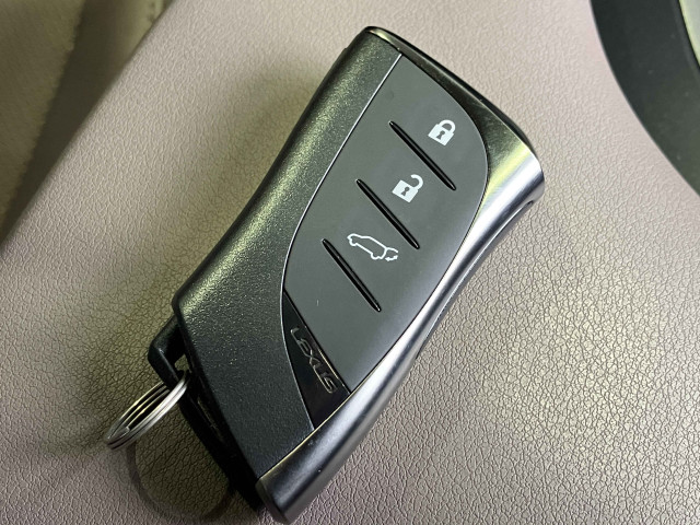 レクサス UX 250h グレイスフル エクスプローラーの中古車