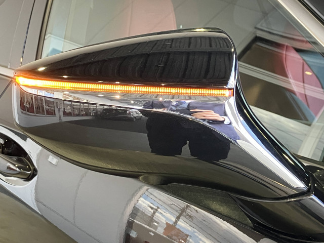 レクサス ES 300h Fスポーツの中古車