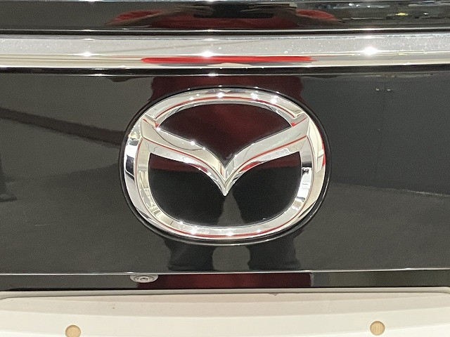 マツダ CXー8 2.5 25S ブラックトーン エディションの中古車