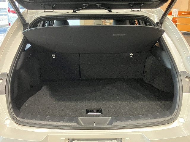 レクサス UX 250h バージョンLの中古車
