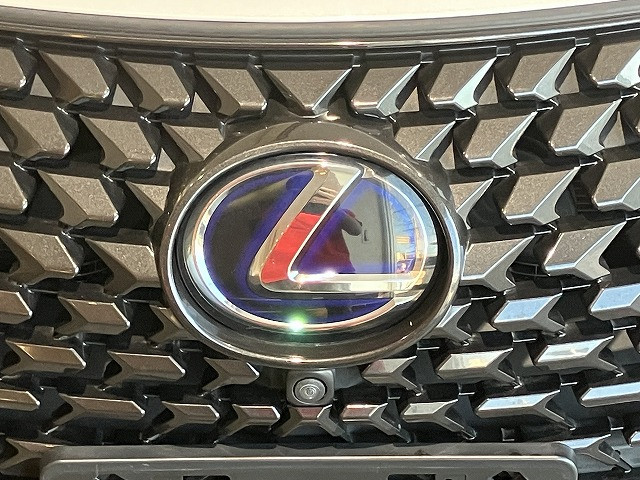 レクサス UX 250h バージョンLの中古車