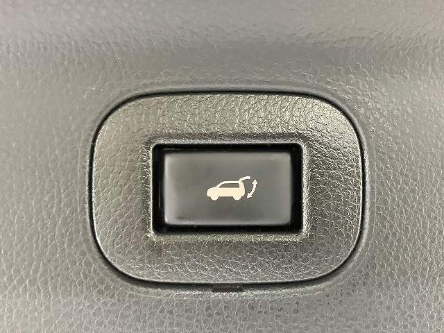 日産 エルグランド 2.5 250ハイウェイスターS アーバンクロムの中古車