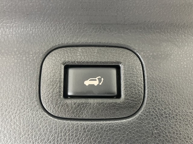 日産 エルグランド 2.5 250ハイウェイスターの中古車