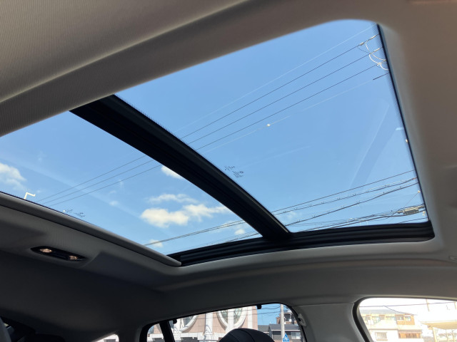 BMW X6 35dの中古車