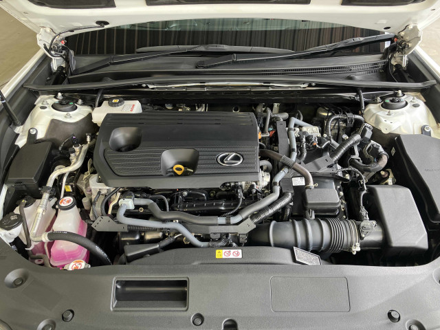 レクサス ES 300h Fスポーツの中古車