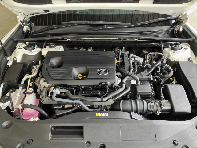 レクサス ES 300h Fスポーツの中古車