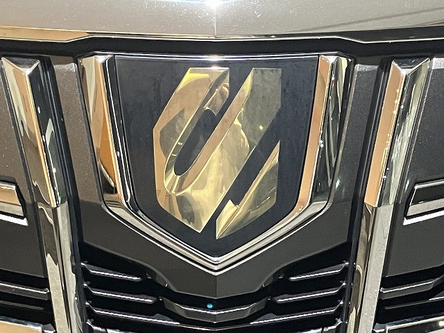 トヨタ アルファード 2.5 S タイプゴールドⅡの中古車