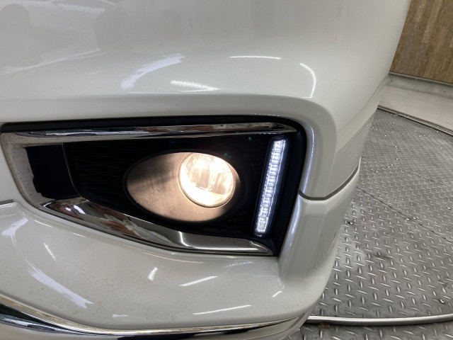 日産 エルグランド 250ハイウェイスターS アーバンクロム 8人乗りの中古車