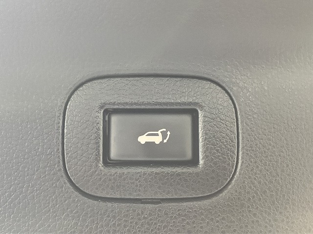 日産 エルグランド 2.5 250ハイウェイスターS アーバンクロムの中古車