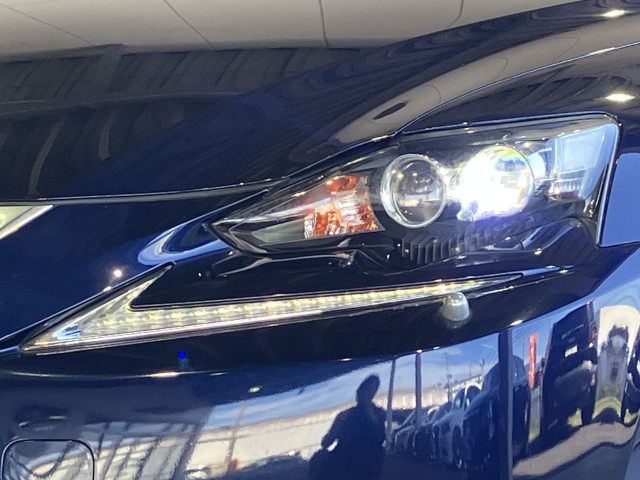 レクサス IS 250 バージョンLの中古車
